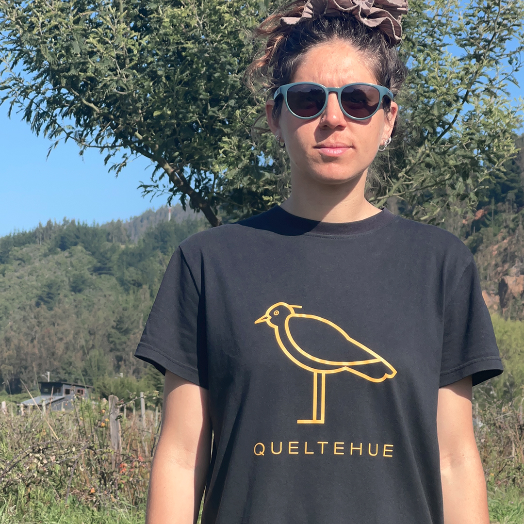 Queltehues_07