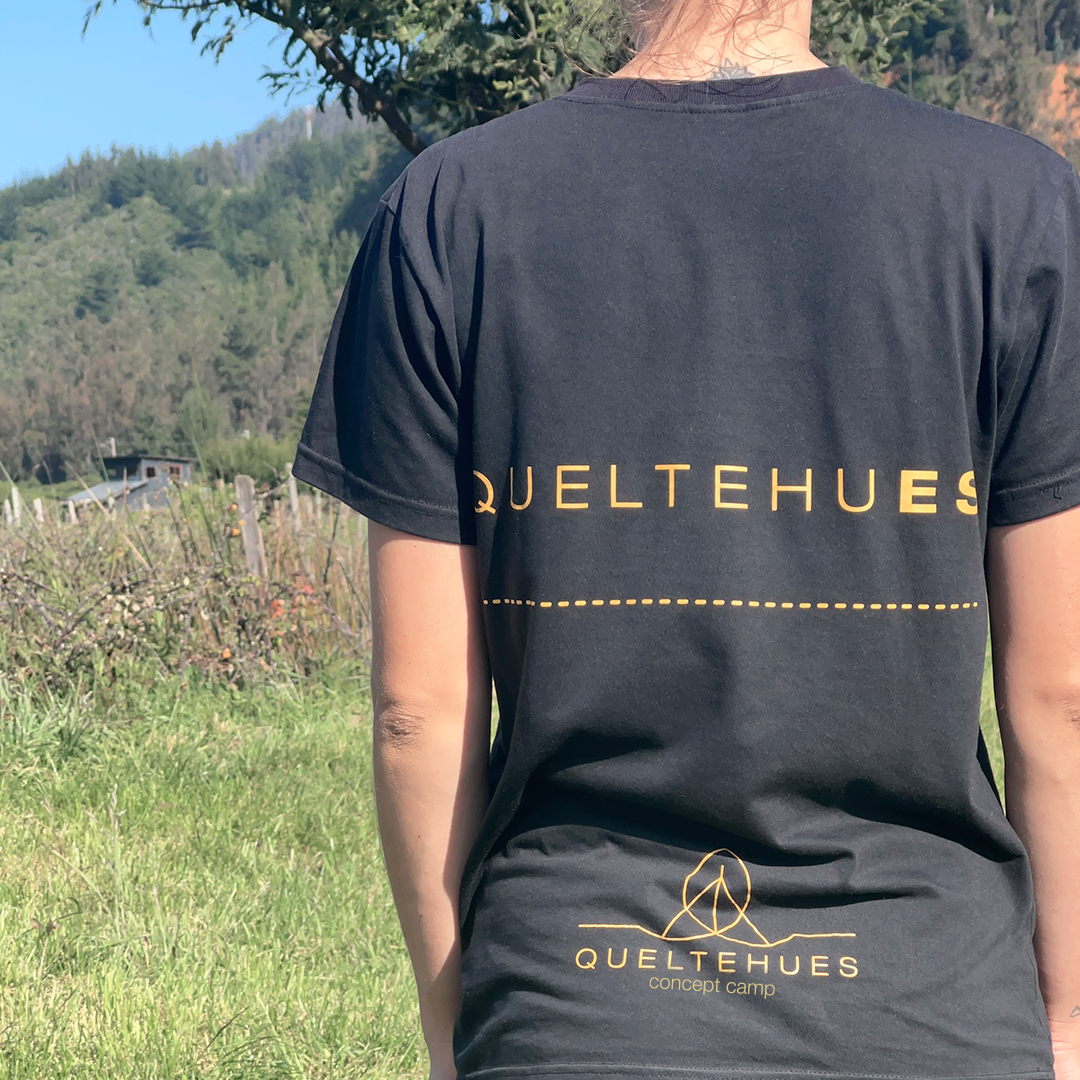 Queltehues_08