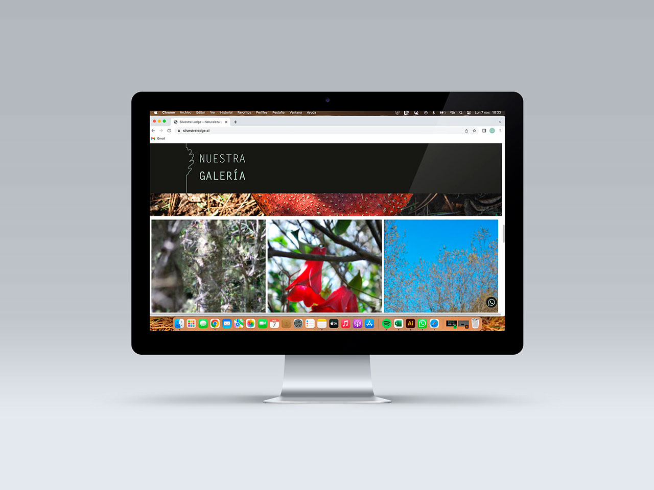 Silvestre-Lodge-página-web-04