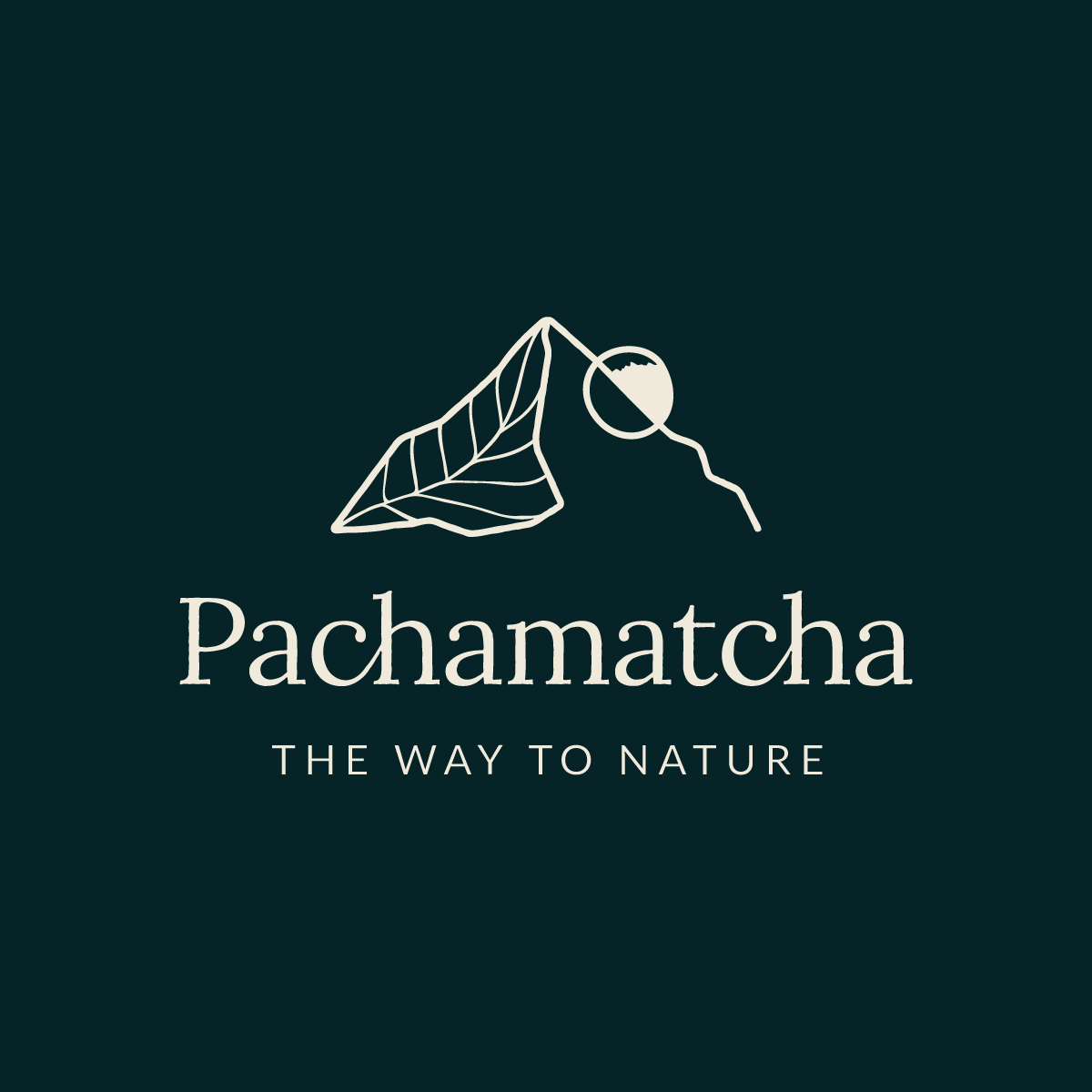 Pachamatcha color 06-100